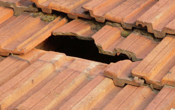 roof repair Skinnet, Highland