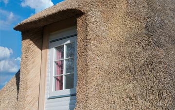 Skinnet thatch roof disadvantages