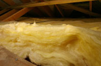 Skinnet pitch roof insulation